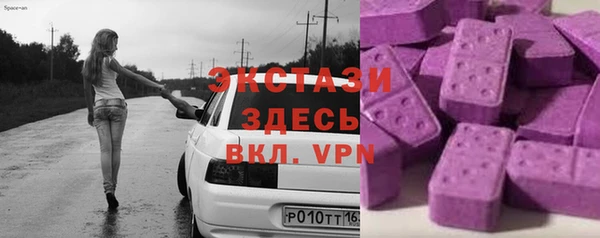 a pvp Бородино