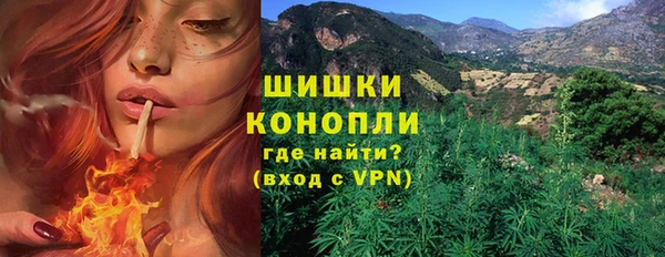 a pvp Бородино