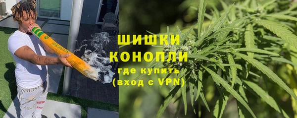 мдпв Бронницы