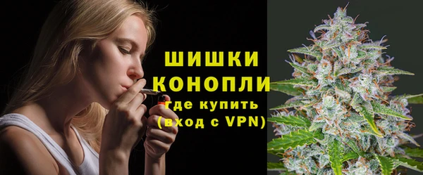 a pvp Бородино