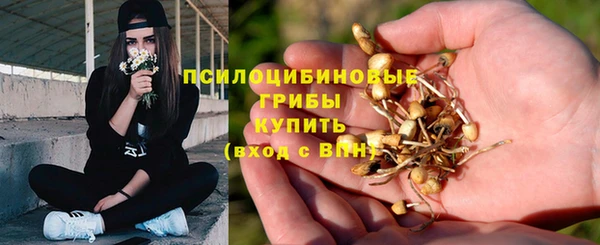 мдпв Бронницы