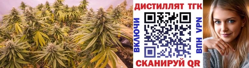 мориарти телеграм  Ветлуга  ТГК концентрат 